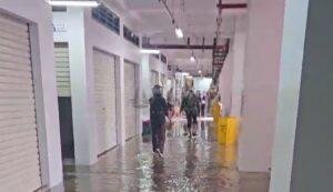 Screenshot_20241101_143553_Gallery