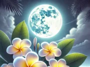 Kisah Malam Purnama Keenam, Filosofi Bunga Kamboja dengan Enam Kelopak