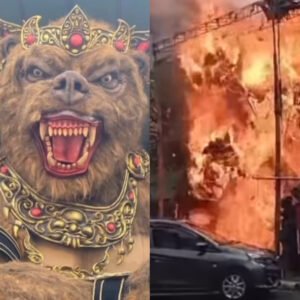 InShot_20250323_180702113