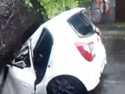 Pohon Tumbang di Kuta Timpa Mobil, Seorang Ibu Tewas, Anak Selamat