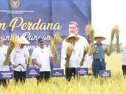 Kemenimipas Panen Perdana di Nusakambangan, Dorong Ketahanan Pangan dan Kemandirian Warga Binaan