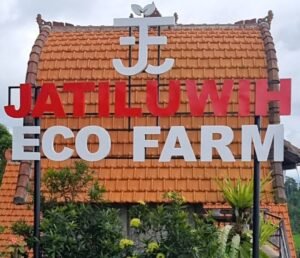 VideoCapture_20250417-182727