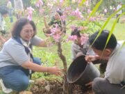 Dewandaru Flora Sumbangkan 50 Bibit Bougenville, Pupuk Organik dan Kompos Hijaukan Kampus FMIPA UNUD Sambut HUT BK ke-41