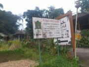 13 Pelanggaran Tata Ruang Ancam Jatiluwih, Ikon Pariwisata Bali di Batas Krisis