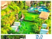 Dari Kuta hingga Sidemen, Jejak Tak Terduga Natya Hospitality di Hati Pariwisata Bali