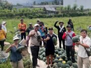 Fraksi Gerindra–PSI Bali Dukung Dapur MBG Serap Hasil Petani Muda di Buleleng
