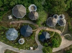 Nuanu Creative City Perkuat Konservasi, Puluhan Flora Terancam Punah Akan Dirawat di Magic Garden