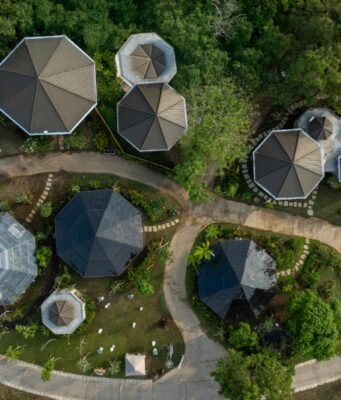 Nuanu Creative City Perkuat Konservasi, Puluhan Flora Terancam Punah Akan Dirawat di Magic Garden