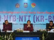 Gubernur Bali–NTB–NTT Teken MoU Kerja Sama Regional, Koster: Skema Penguatan Ekonomi untuk Kemajuan Bersama