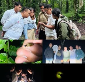 BeautyPlus_20251225231413623_org