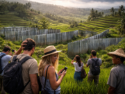 Seng di Tengah Sawah Jatiluwih Picu Kekhawatiran Wisatawan, Usaha Warga Ikut Terpuruk