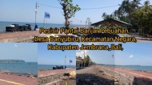 Budidaya Kerang Mutiara Jembrana Menuai Protes, Nelayan Pebuahan Mengadu ke PPWI