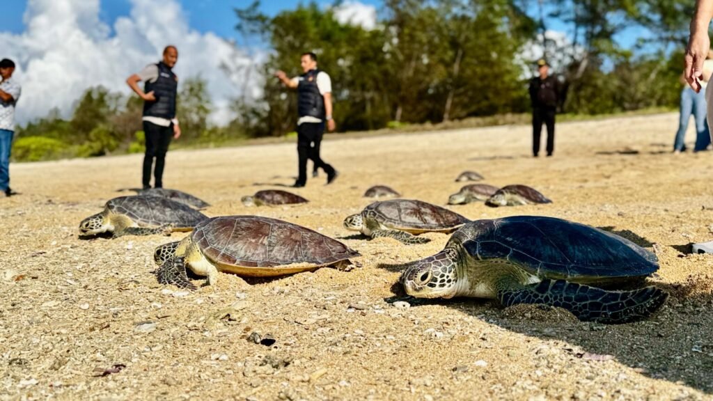 KEK Kura Kura Bali Terus Dikembangkan, Ritel hingga Pendidikan Jadi Penggerak Kawasan