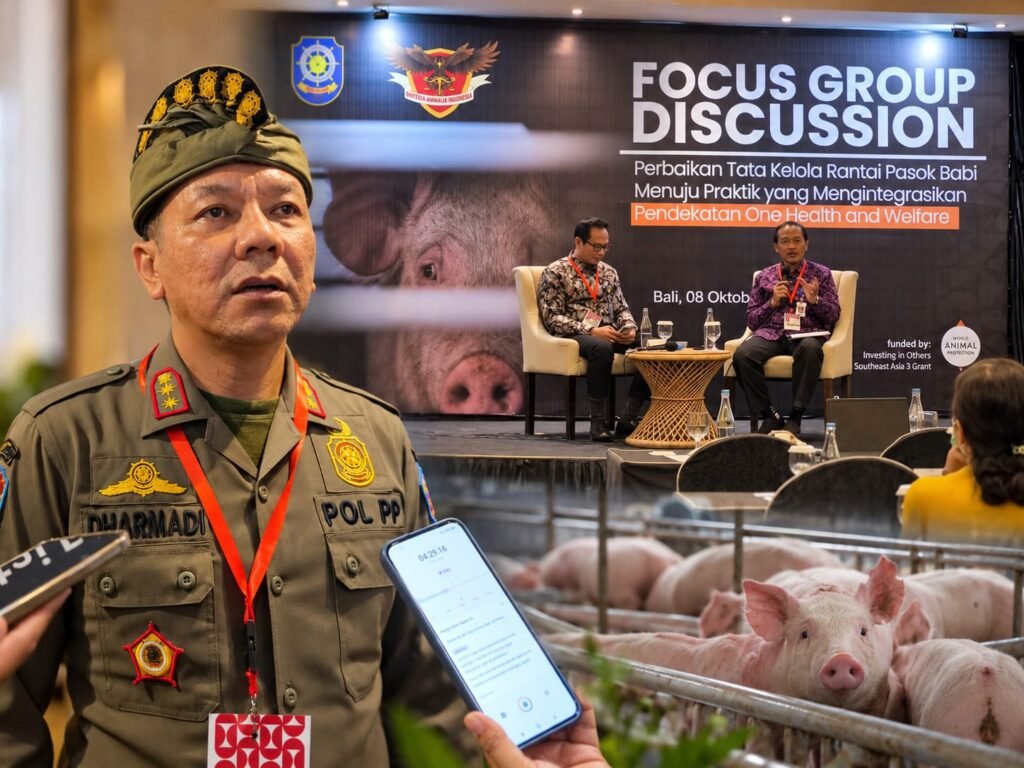 Rantai Pasok Babi Bali Dibenahi, Dewa Dharmadi Soroti Animal Welfare hingga Standar HORECA