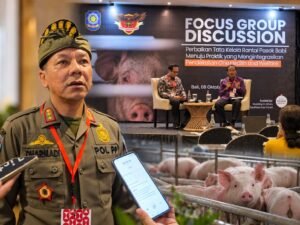 Rantai Pasok Babi Bali Dibenahi, Dewa Dharmadi Soroti Animal Welfare hingga Standar HORECA